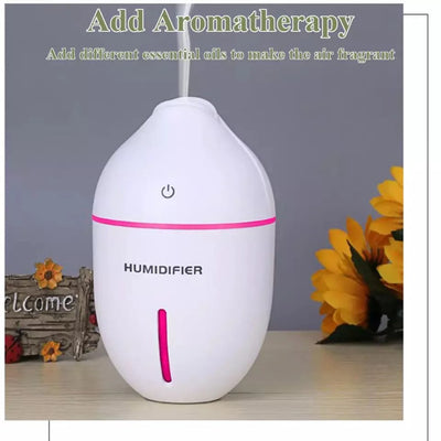Portable Mini Humidifier